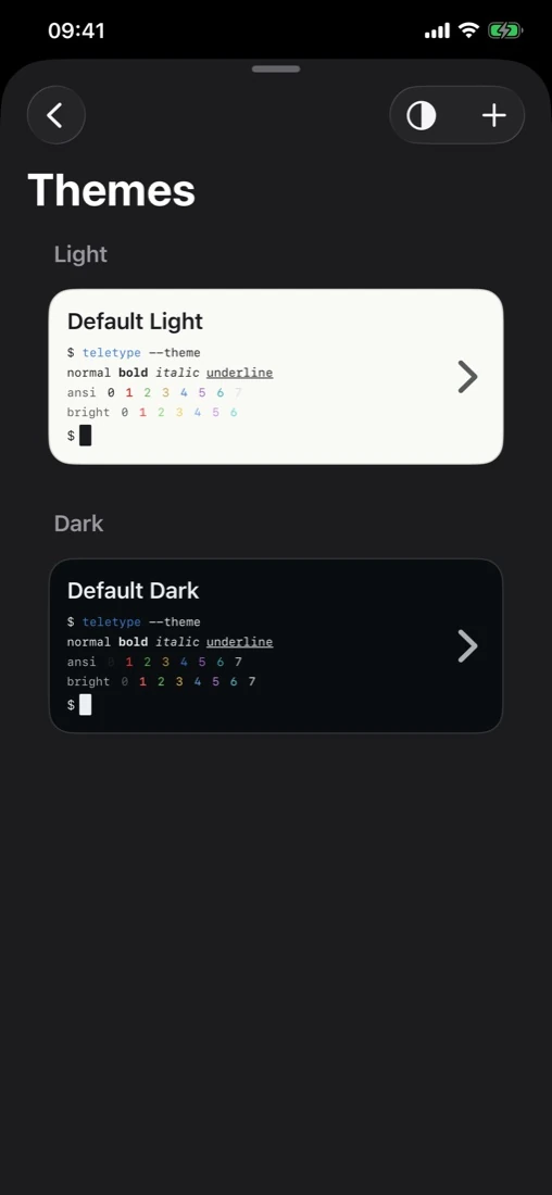 Teletype terminal theme selector